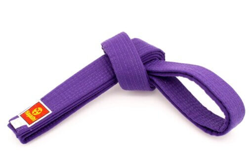 Budogürtel Hayashi 40mm Violett