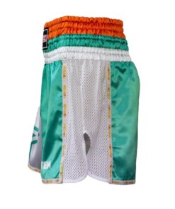 thai-kickboxing-shorts-topten-star-green-sideview