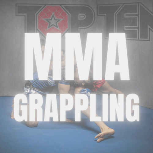 MMA / Grappling